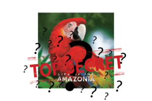 Eurohell_TopSecret_LifeAmazonia_Teaser