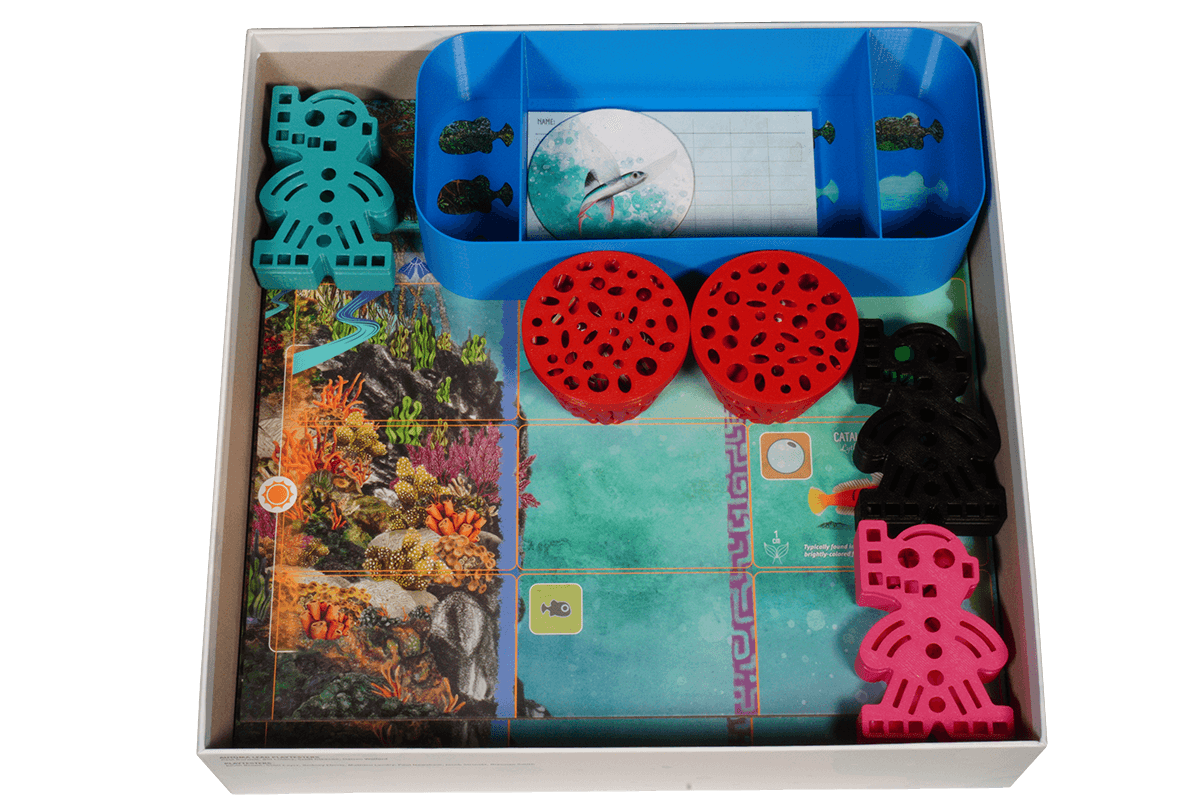 FIS-I-01 Insert Flossenschlag Eurohell Brettspiel 1