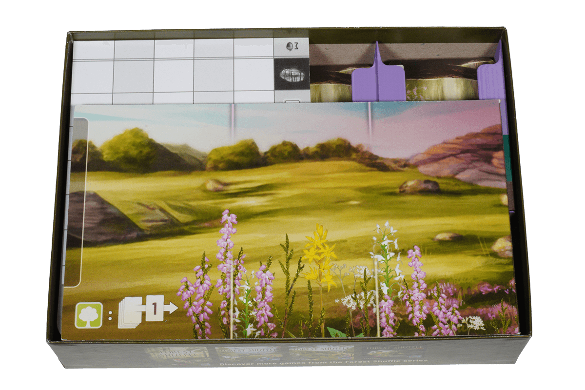 FSD-I-01 Insert Mischwald Dartmoor Eurohell Brettspiel 3