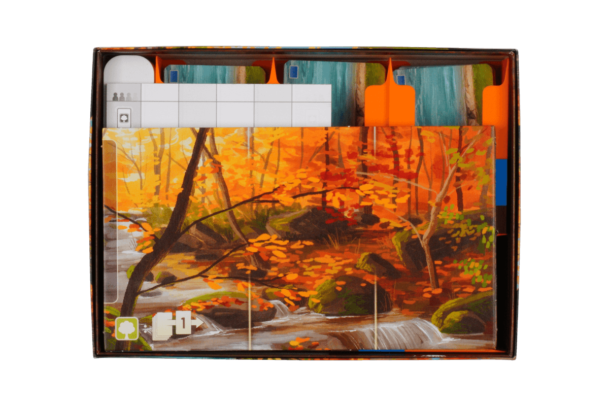 FSSM-I-01 Insert Mischwald Smoky Mountains Eurohell Brettspiel 3