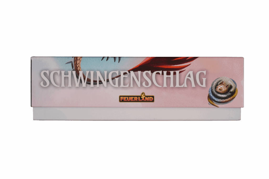 WYS-I-02 Insert Hinweis Schwingenschlag Drachenakademie Eurohell Brettspiel
